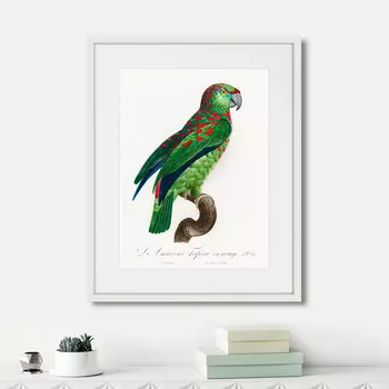 Картина Beautiful parrots №4, 1872г. (42х52 см)