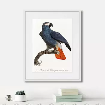 Картина Beautiful parrots №5, 1872г. (42х52 см)