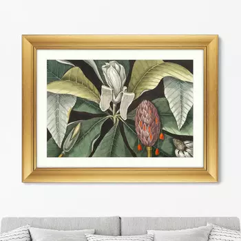 Картина Beauty bloom №2, 1732г. (60,5х80,5 см)