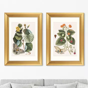 Картина Beauty bloom №4, 1732г. (50,5х70,5 см - 2 шт)