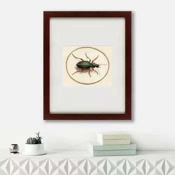 Картина Beetle (42х52 см)