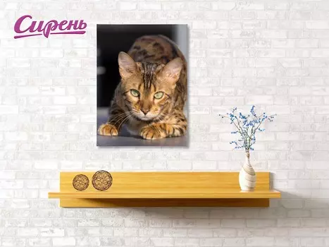 Картина Бенгальский Кот (40х60 см)