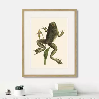Картина Big jumping frog, 1745г. (42х52 см)