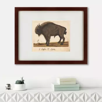 Картина Bison (47х60 см)