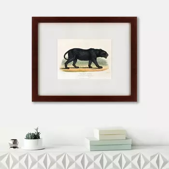 Картина Black Panther (42х52 см)