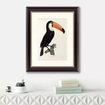 Картина Большой Тукан (42х52 см)