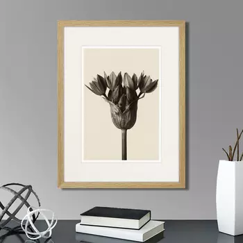 Картина Botanical philosophy of forms №5, 1912г. (32х42 см)