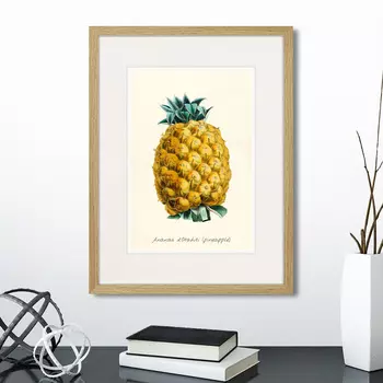 Картина Botany illustration №17, 1836г. (32х42 см)