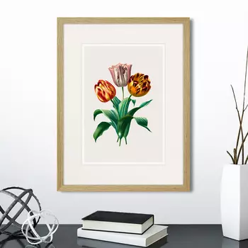 Картина Botany illustration №23, 1836г. (32х42 см)