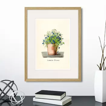 Картина Botany illustration №9, 1836г. (32х42 см)