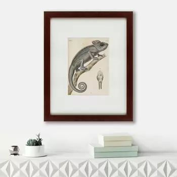 Картина Chameleon (42х52 см)