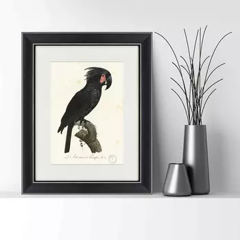 Картина Чёрный Какаду (42х52 см)