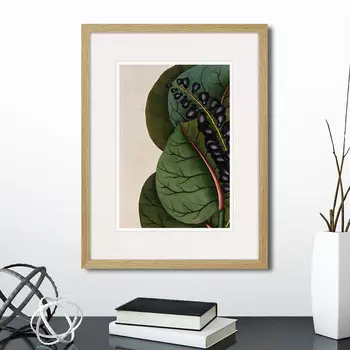 Картина Exotic plants of the world №7, 1815г. (32х42 см)