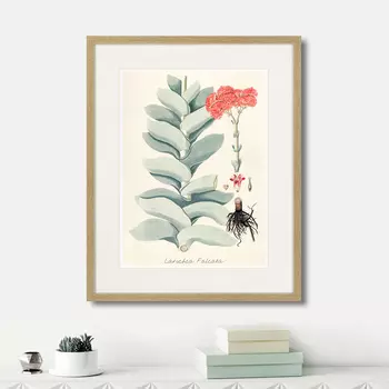 Картина Fragmenta botanica №4, 1809г. (42х52 см)