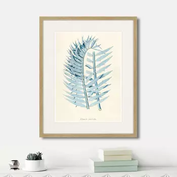 Картина Fragmenta botanica №8, 1809г. (42х52 см)