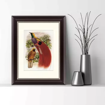 Картина Гольдиева Райская Птица (35х45 см)