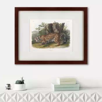 Картина Jaguar (47х60 см)