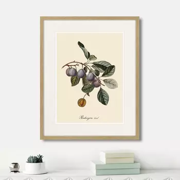 Картина Juicy fruit lithography №5, 1870г. (42х52 см)