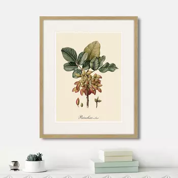 Картина Juicy fruit lithography №8, 1870г. (42х52 см)