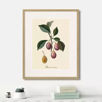 Картина Juicy fruit lithography №9, 1870г. (42х52 см)