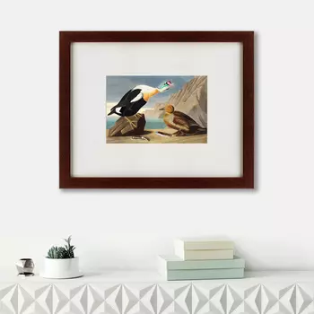 Картина King Duck (42х52 см)