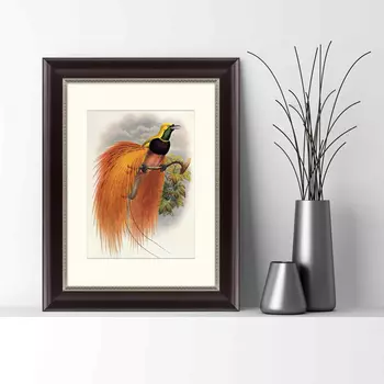 Картина Красная Райская Птица (35х45 см)
