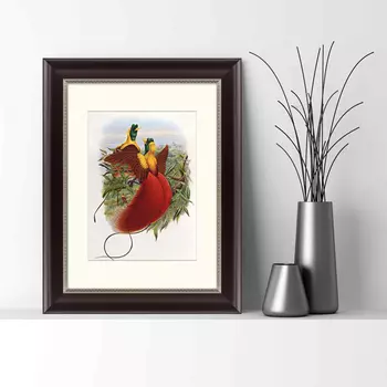 Картина Красные Райские Птицы (35х45 см)
