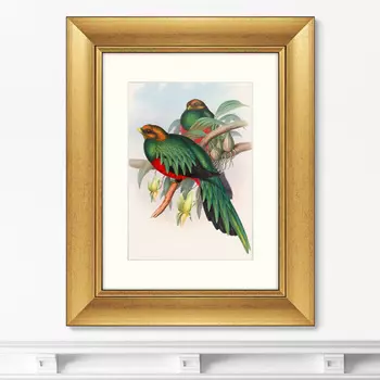 Картина Квезали (40,5х50,5 см)