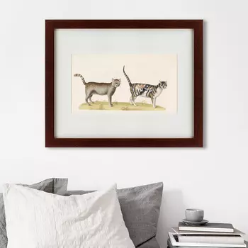 Картина Le Chat Sauvage (42х52 см)