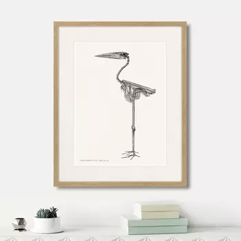 Картина Leptophilus Argala, 1867г. (42х52 см)