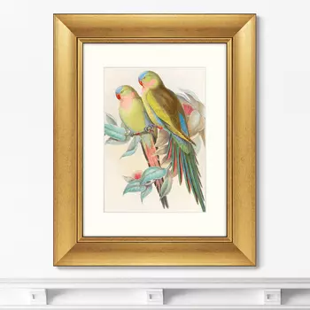 Картина Love parrots, 1850г. (40,5х50,5 см)