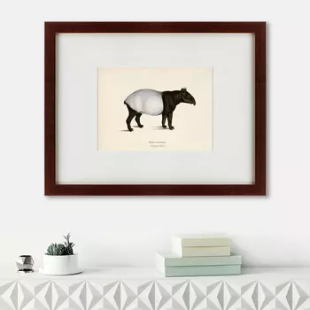Картина Malayan Tapir (47х60 см)