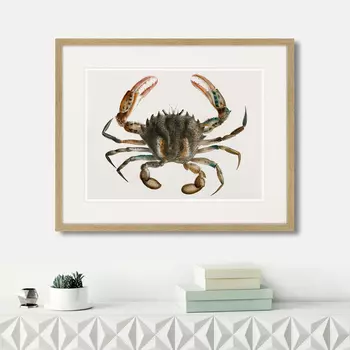 Картина Marine life №2, 1725г. (42х52 см)