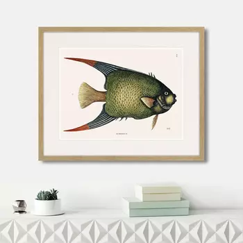 Картина Marine life №3, 1725г. (42х52 см)