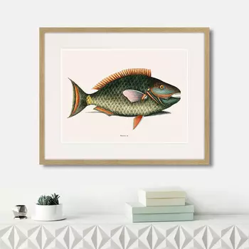 Картина Marine life №5, 1725г. (42х52 см)