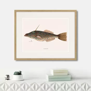 Картина Marine life №6, 1725г. (42х52 см)