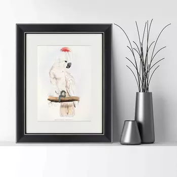 Картина Молуккский Какаду (42х52 см)