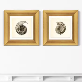 Картина Морской Обитатель №2 (35,5х35,5 см - 2 шт)