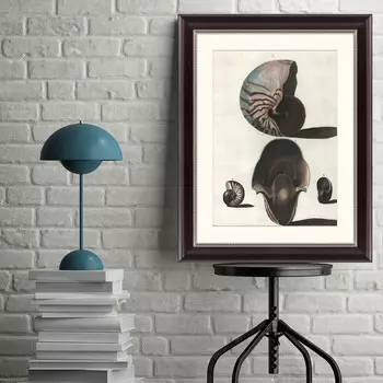 Картина Наутилус (47х60 см)