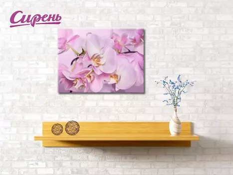 Картина Нежная Орхидея (40х60 см)