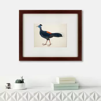 Картина Огненноспинная Лофура №2 (42х52 см)