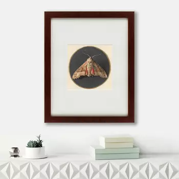 Картина Owlet Moth (42х52 см)