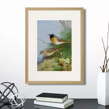 Картина Pair of Redstarts, 1923г. (32х42 см)