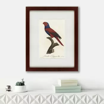 Картина Perruche A Chaperon Bleu (42х52 см)