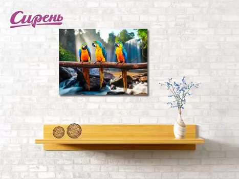 Картина Попугаи (40х60 см)