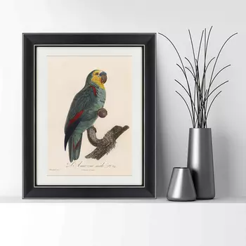 Картина Попугай (42х52 см)