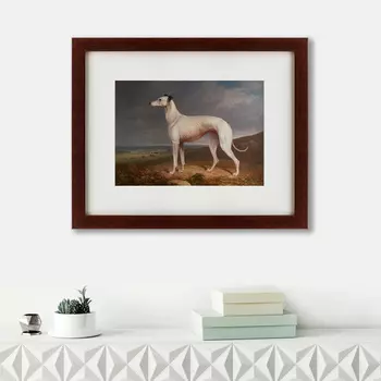 Картина Portrait Of A Greyhound (42х52 см)