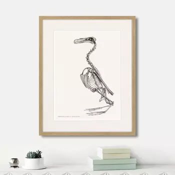 Картина Procellaria Giganta, 1867г. (42х52 см)