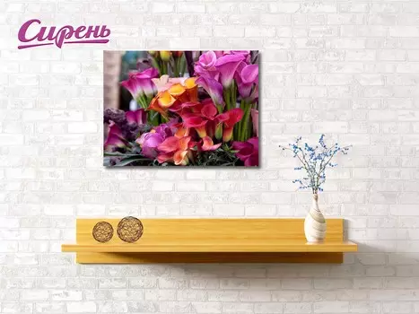 Картина Разноцветные Калы (40х60 см)