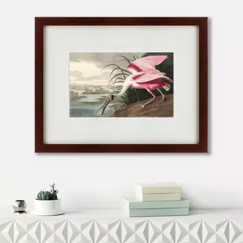 Картина Roseate Spoonbill (47х60 см)